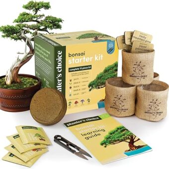 Bonsai Starter Kit - Gardening Gift for Women & Men - Bonsai Tree Growing Garden Crafts Hobby Kits for Adults, Unique DIY Hobbies for Plant Lovers...