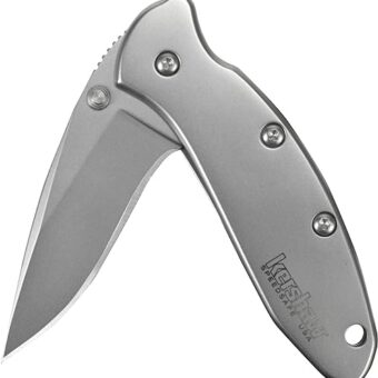 Kershaw Chive Pocket Knife, 1.9 Inch 420HC Steel Blade, Speedsafe Assisted Opening, Made in the USA, (1600)